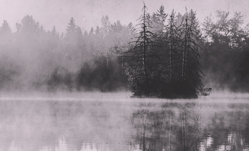 Moody black and white photograph of a small wooded island surrounded by morning mist and calm lake reflections.