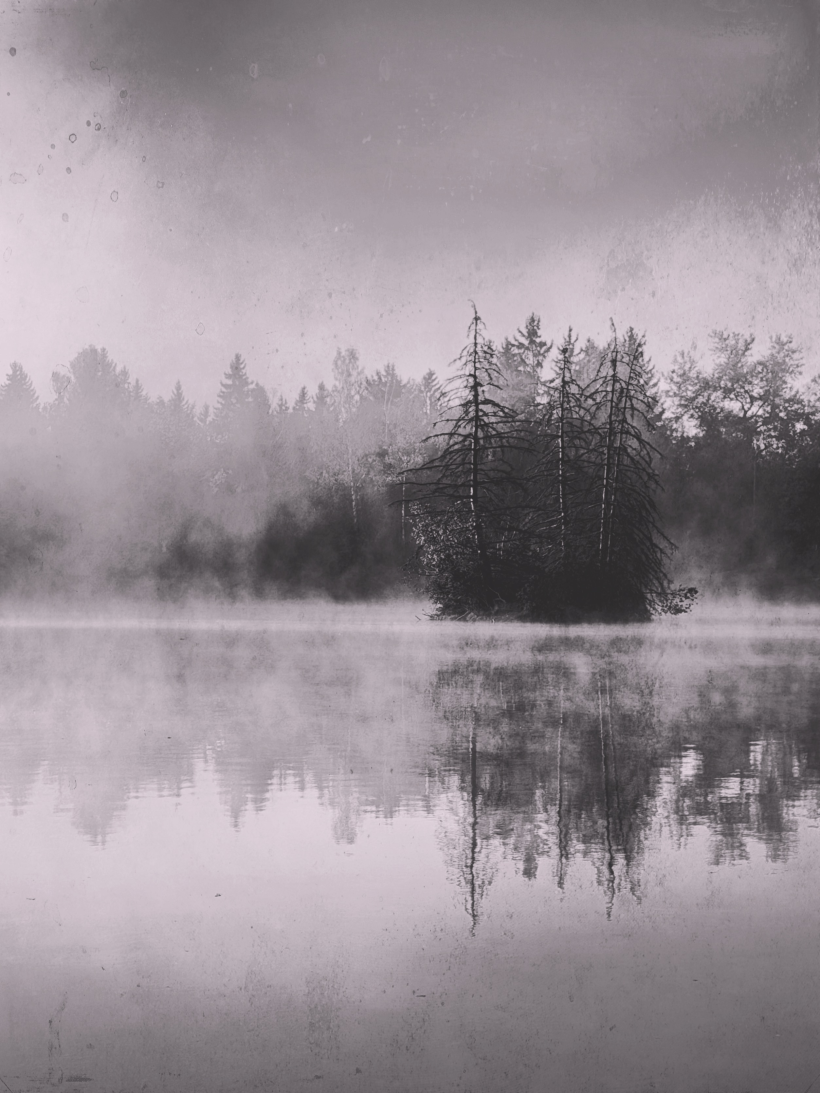 Morning Silence Moody black and white photograph of a small wooded island surrounded by morning mist and calm lake reflections.
